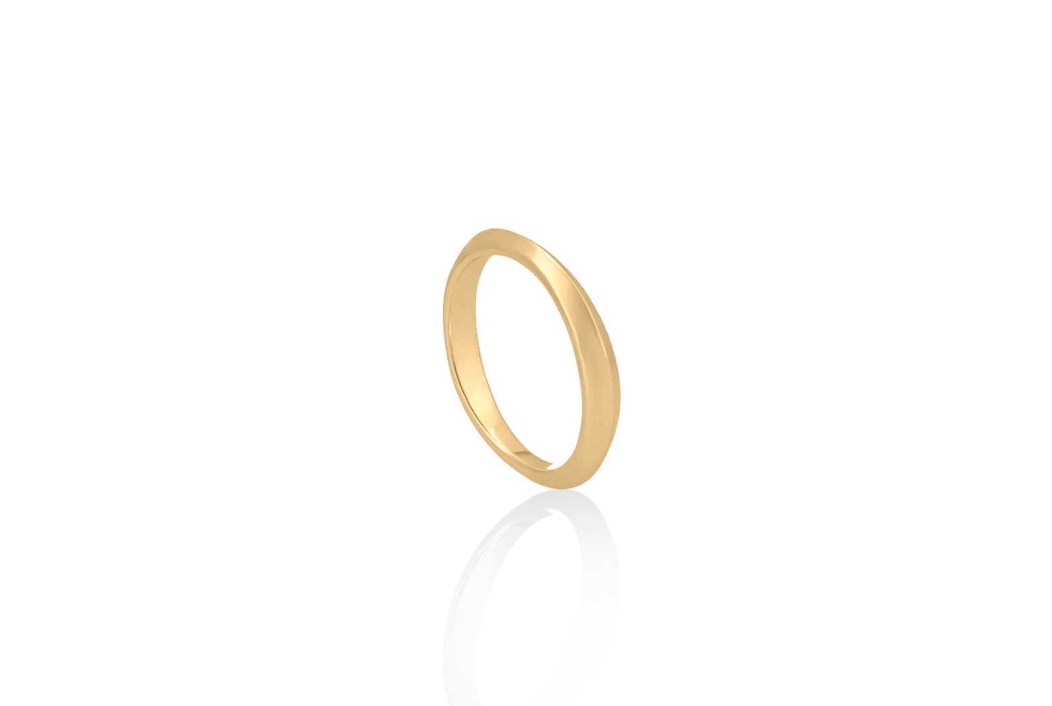 Neutral Ground Narrow Ring 10K Gold